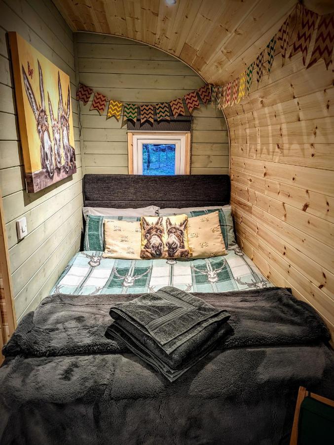 Emlyn'S Coppice - Luxury Woodland Glamping Villa Holywell  Eksteriør bilde